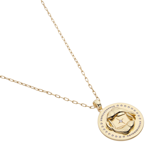 Colar Signo Talismã Zircônia