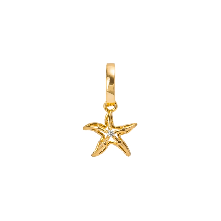 Pingentes Estrela do Mar