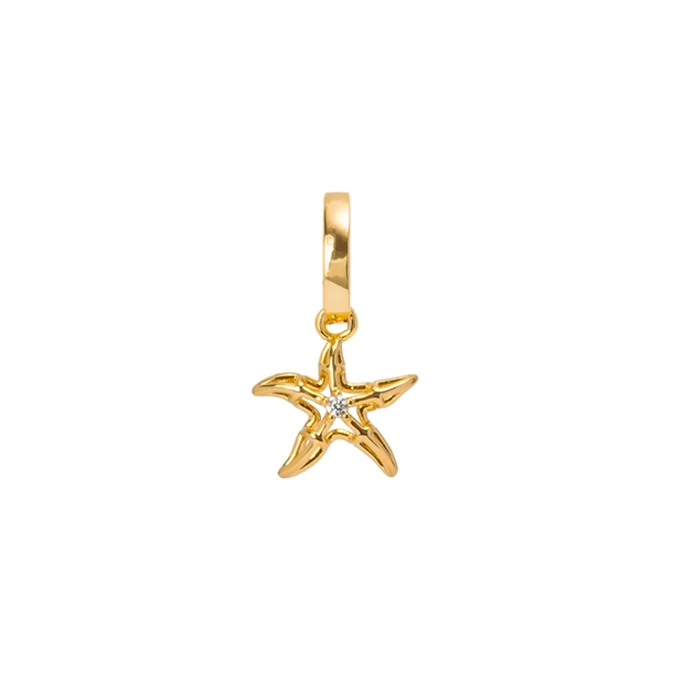 Pingentes Estrela do Mar