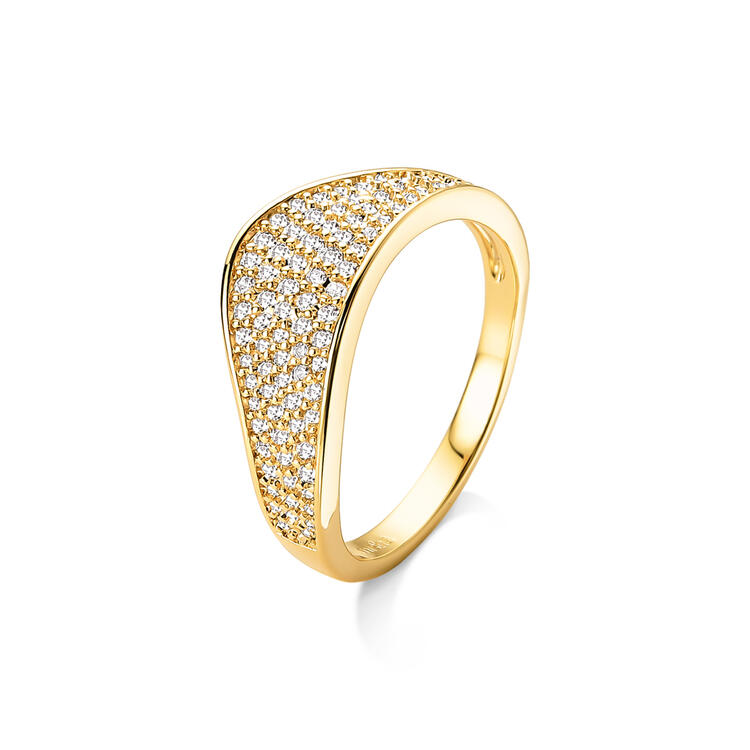 ANEL SHINE CRAVEJADO