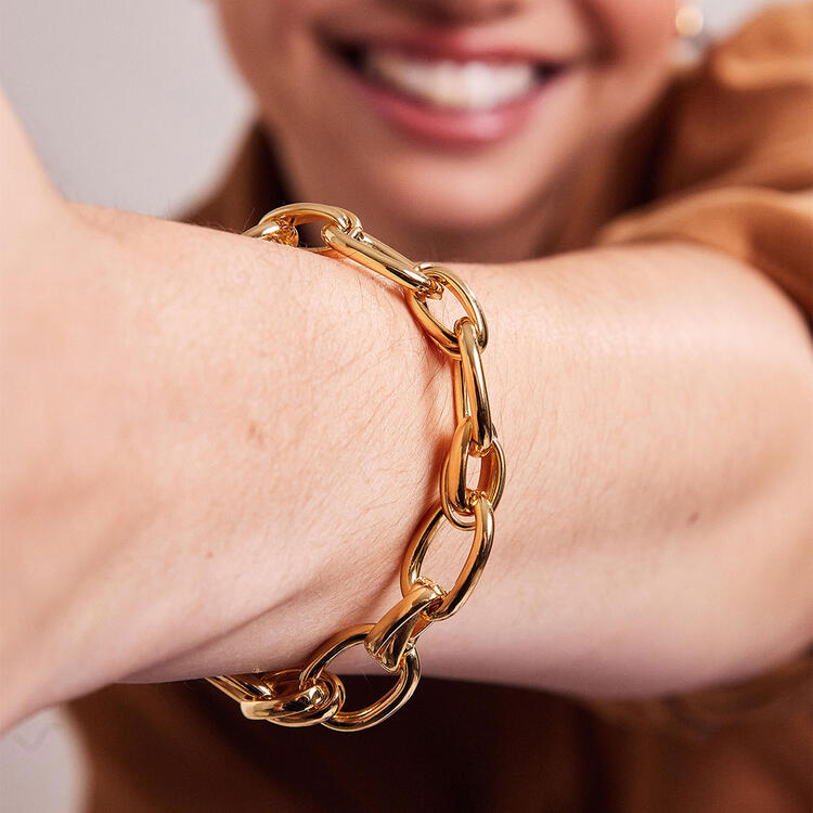 PULSEIRA NEXUS