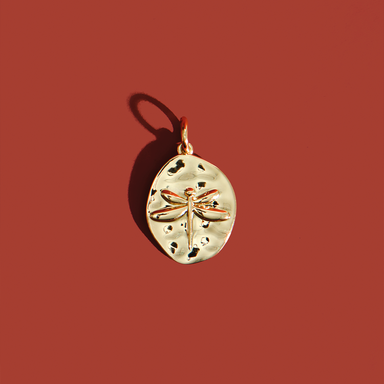 PINGENTE MOEDAS EVOLUÇÃO