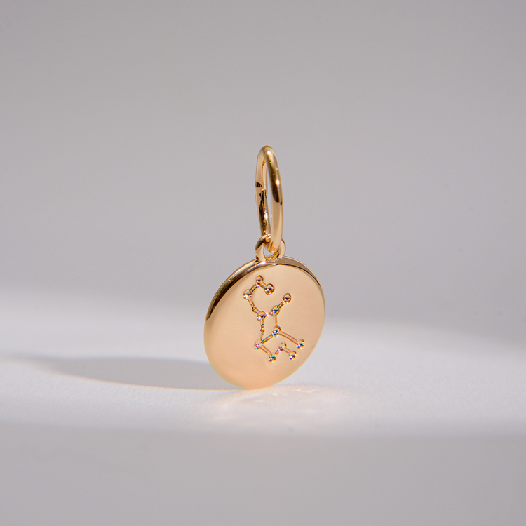 PINGENTE CHARM BAR SIGNO VIRGEM