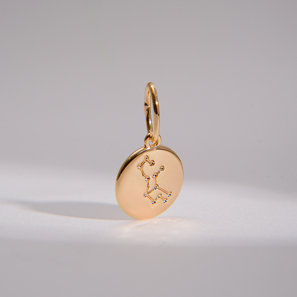 PINGENTE CHARM BAR SIGNO VIRGEM