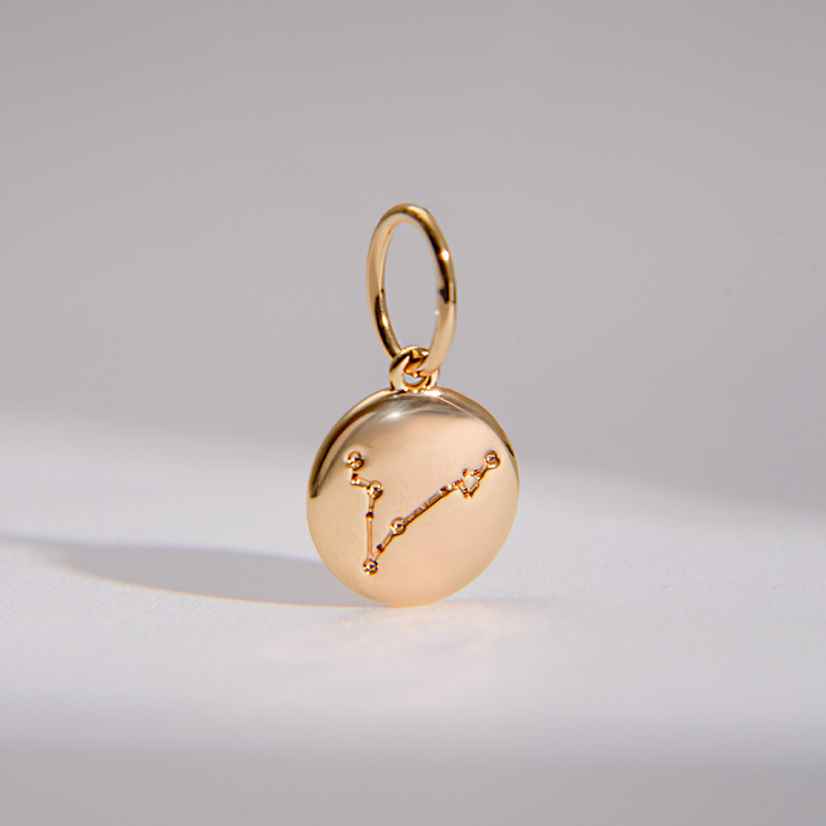 PINGENTE CHARM BAR SIGNO PEIXES