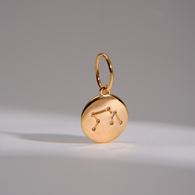 PINGENTE CHARM BAR SIGNO AQUÁRIO