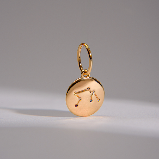 PINGENTE CHARM BAR SIGNO AQUÁRIO